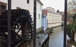 odbfzczr1x_____YHFV9829