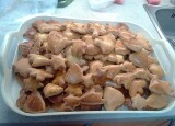 IMG-20241216-WA0088.jpg