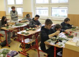 IMG_3469.JPG