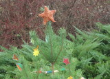 IMG_3549.JPG