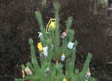 IMG_3546.JPG