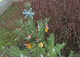 IMG_3550.JPG