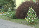 IMG_3542.JPG