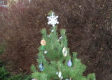 IMG_3547.JPG