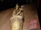 20250203_113131.jpg