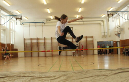 nmslqiidio_____IMG_4198