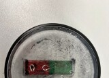 IMG_5974.JPEG