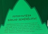 20250319_122456.jpg
