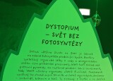 20250319_122734.jpg