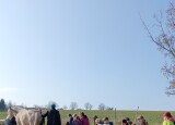 IMG_20250325_144951.jpg