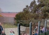 IMG_20250324_160256.jpg