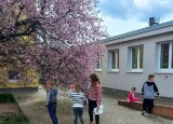 DZEK0523.JPG