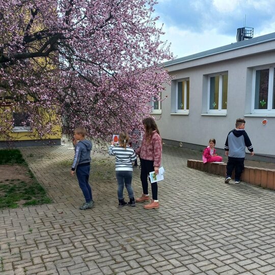 DZEK0523.JPG