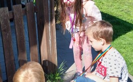 eafi31q0v6_____IMG_5234