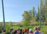 IMG-20250526-WA0040.jpg