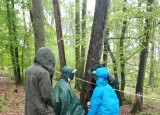 IMG-20250424-WA0009.jpg