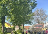 IMG_2068.JPEG