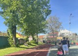 IMG_2065.JPEG