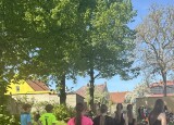 IMG_2061.JPEG