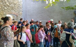 sv7zqnral2_____IMG-20250504-WA0036 (2)