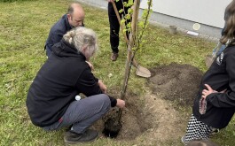 c9ify0i966_____IMG_5617