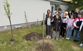 c9ify0i966_____IMG_5617