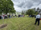 IMG_5621.JPEG