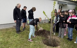 c9ify0i966_____IMG_5617