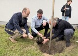 IMG_5649 (2).JPEG