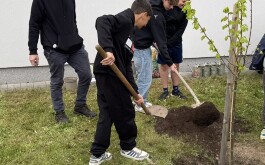 c9ify0i966_____IMG_5617