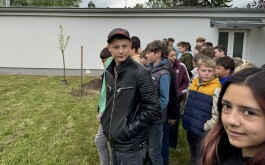 c9ify0i966_____IMG_5617