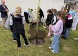 IMG_5670 (2).JPEG