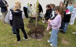 c9ify0i966_____IMG_5617