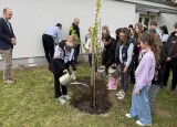 IMG_5668 (2).JPEG