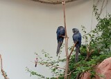 IMG_20250527_113928.jpg