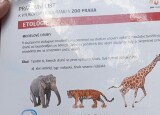 IMG_20250527_111040.jpg