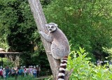 IMG_20250527_111205.jpg
