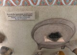 IMG_20250519_090821.jpg