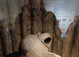 IMG_20250519_090542.jpg