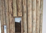 IMG_20250519_105726_1.jpg