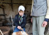 IMG_20250519_095006.jpg