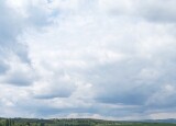 IMG_20250526_121640.jpg