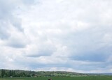 IMG_20250526_121701.jpg