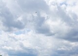 IMG_20250526_120648.jpg