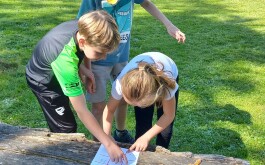 f5592wcqo0_____20250515_174929