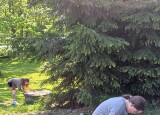20250513_104655.jpg