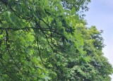 20250610_140623.jpg