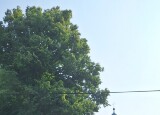 20250609_093349.jpg