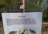 IMG_20250423_110418.jpg