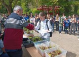 IMG_20250514_104649.jpg